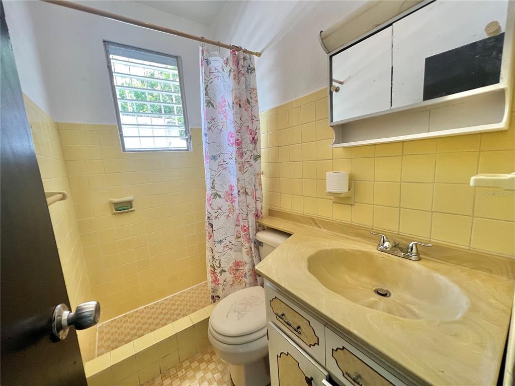 #24,, Rosa St., Bo. Coto Sur Sector Miranda, Manati - 19
