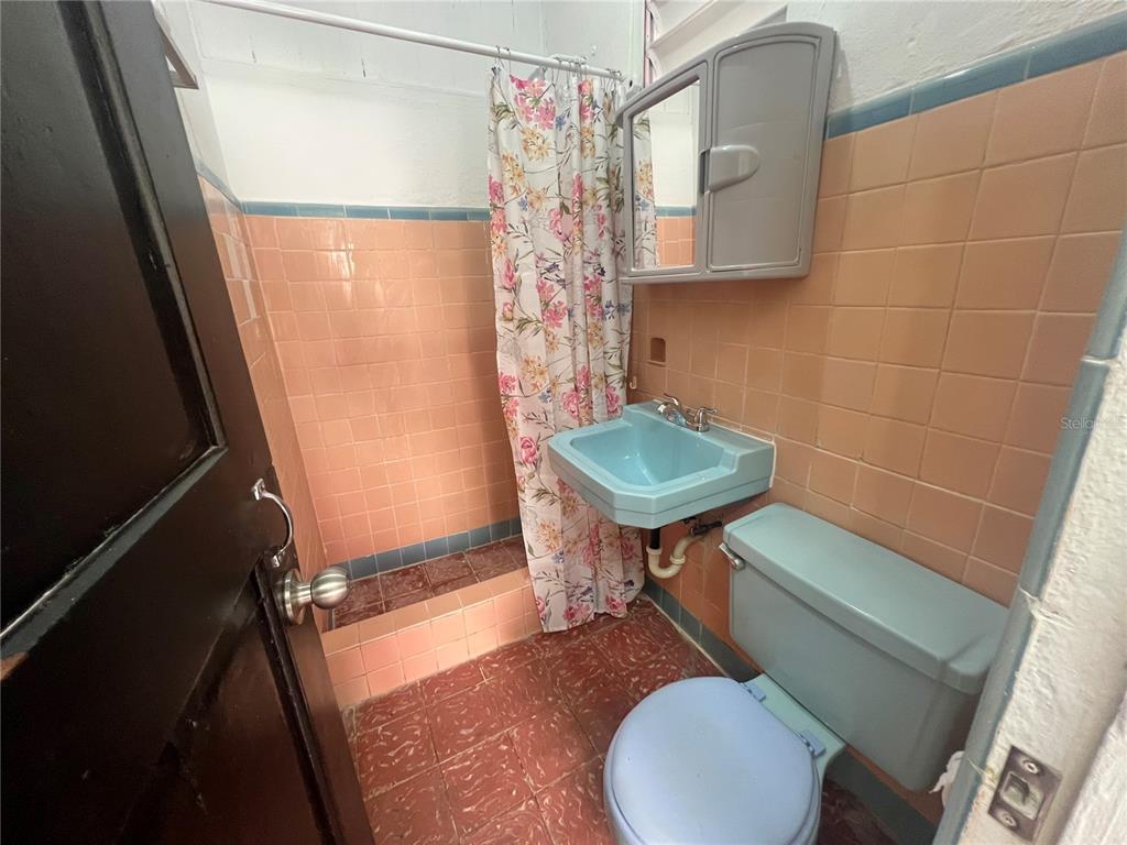 #24,, Rosa St., Bo. Coto Sur Sector Miranda, Manati - 9