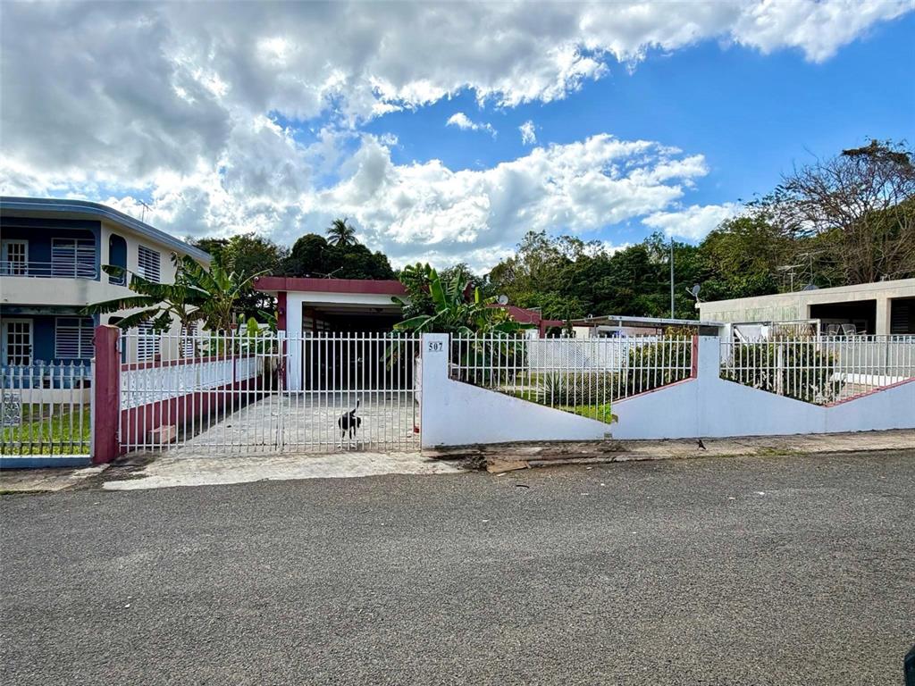 507, Vicenta Arroyo, Manati - 1
