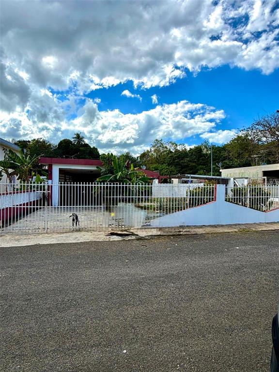507, Vicenta Arroyo, Manati - 6