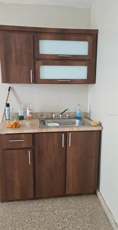 507, Vicenta Arroyo, Manati - 9