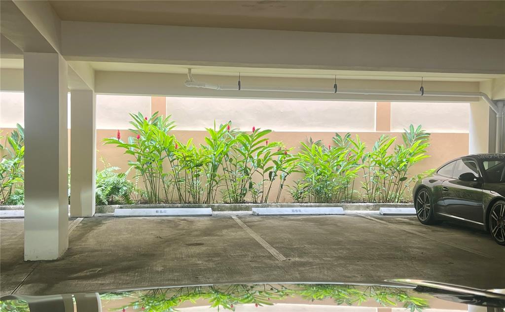 8, Palma Real Avenue, Murano Luxury Apartments, Guaynabo - 20