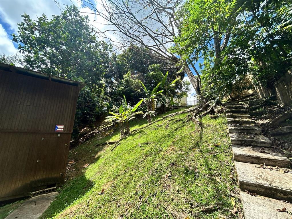 Lot 10 Street 1, Los Flamboyanes Sector Cañaboncito Wd, Caguas - 20