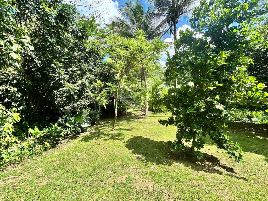 Lot 10 Street 1, Los Flamboyanes Sector Cañaboncito Wd, Caguas - 21