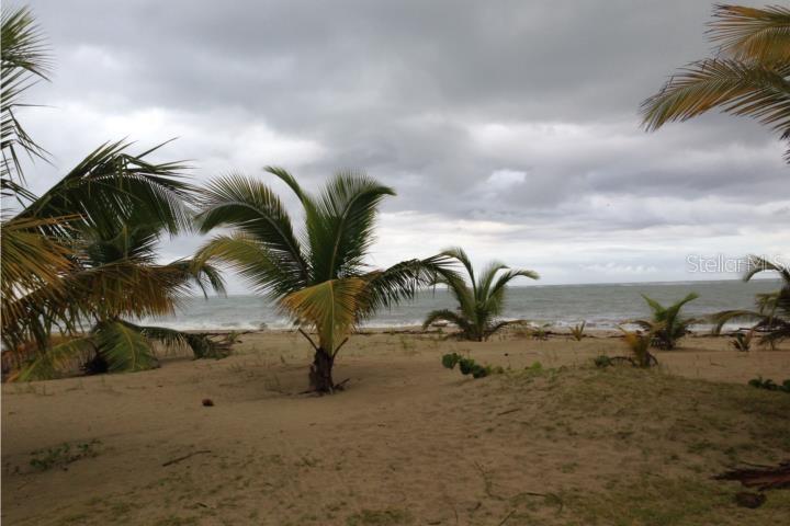 3501, Ii, Los Parillas, Loiza - 30