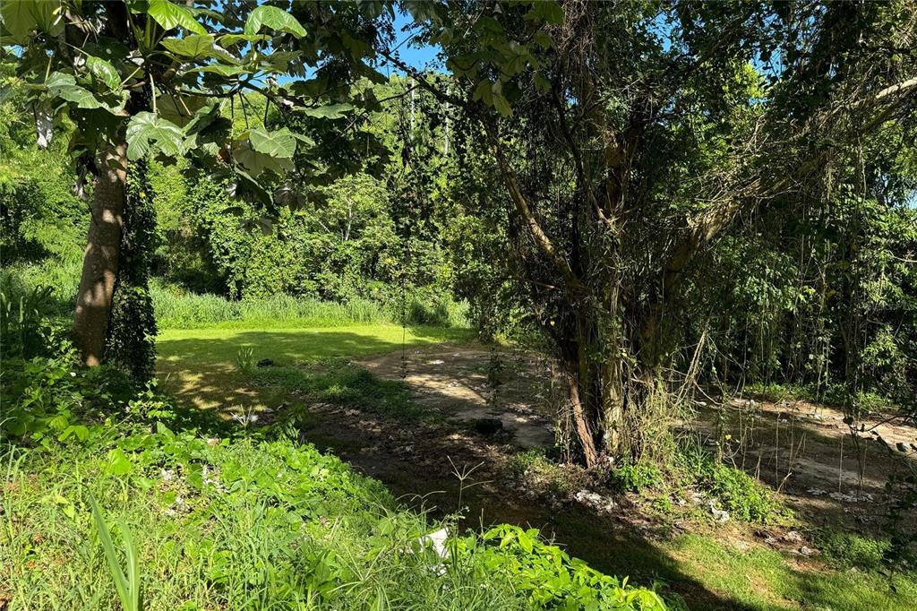 Las Lomas, Canovanas - 14