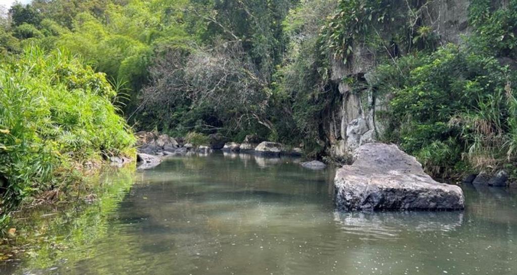 Las Lomas, Canovanas - 6