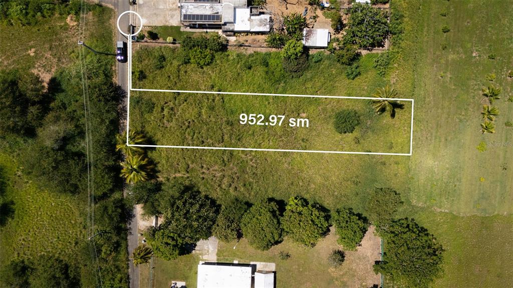 Carr 459 Km 12.5, Jobos Ward, Isabela - 7