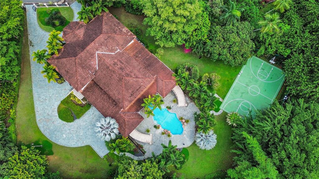 17 Calle Durazno, Urbanizacion San Patricio, Guaynabo - 36