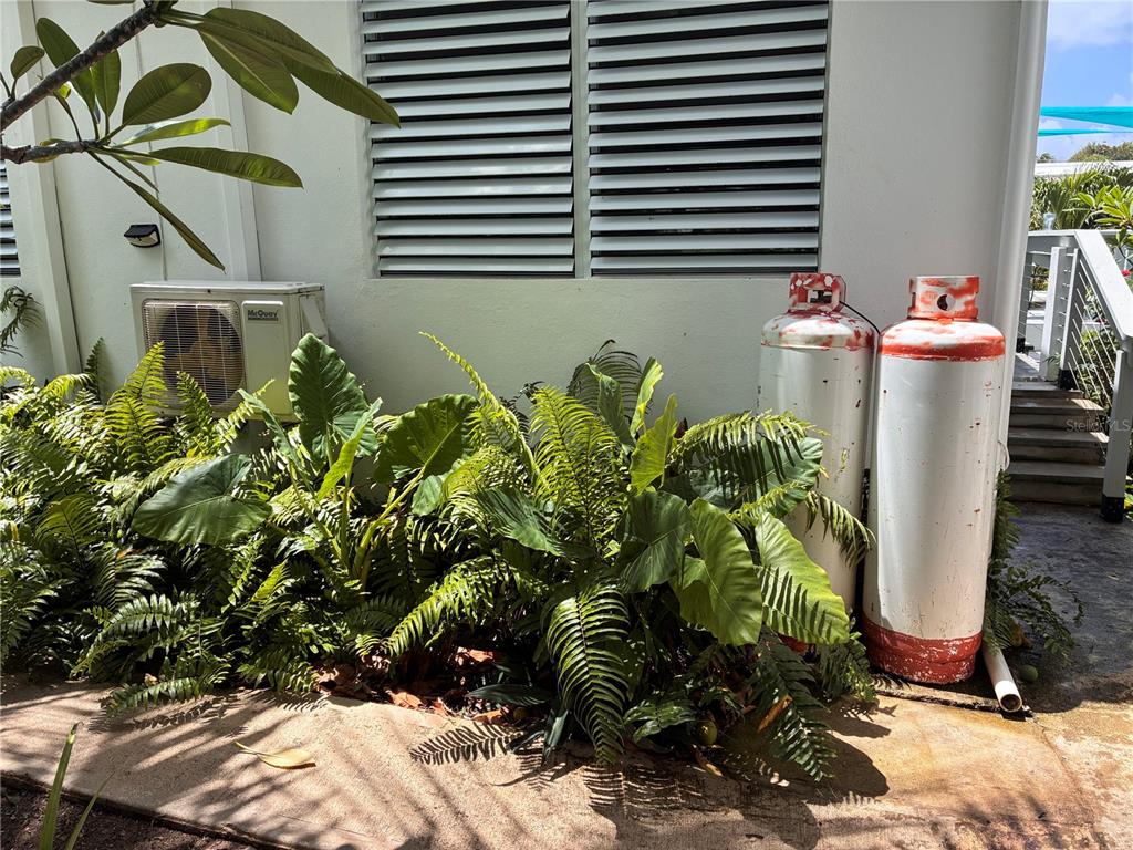 645, Casa Rincon, Vieques - 22