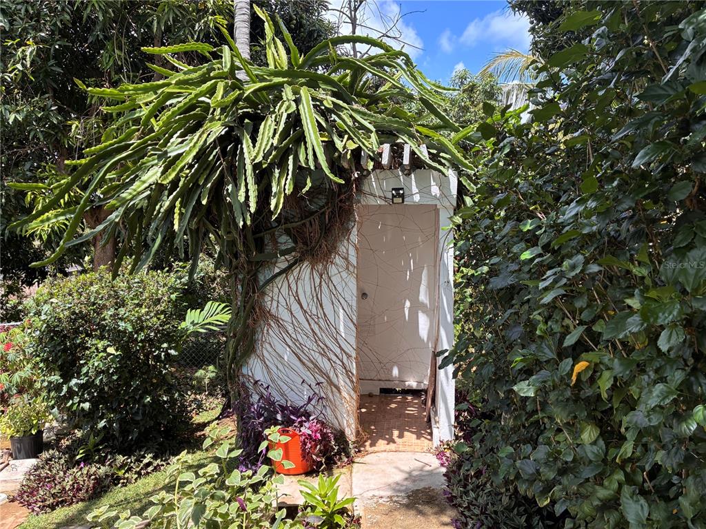 645, Casa Rincon, Vieques - 23