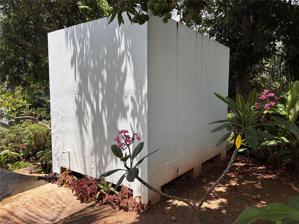 645, Casa Rincon, Vieques - 25