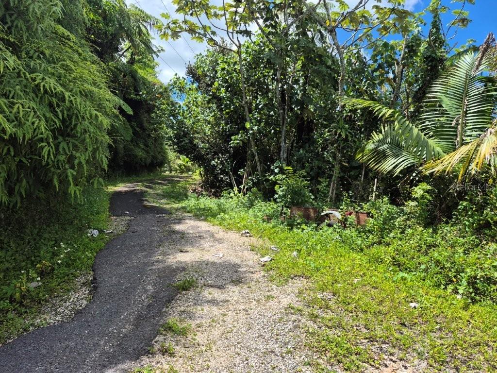 Km 24.1, Pr 143, Juana Diaz - 2