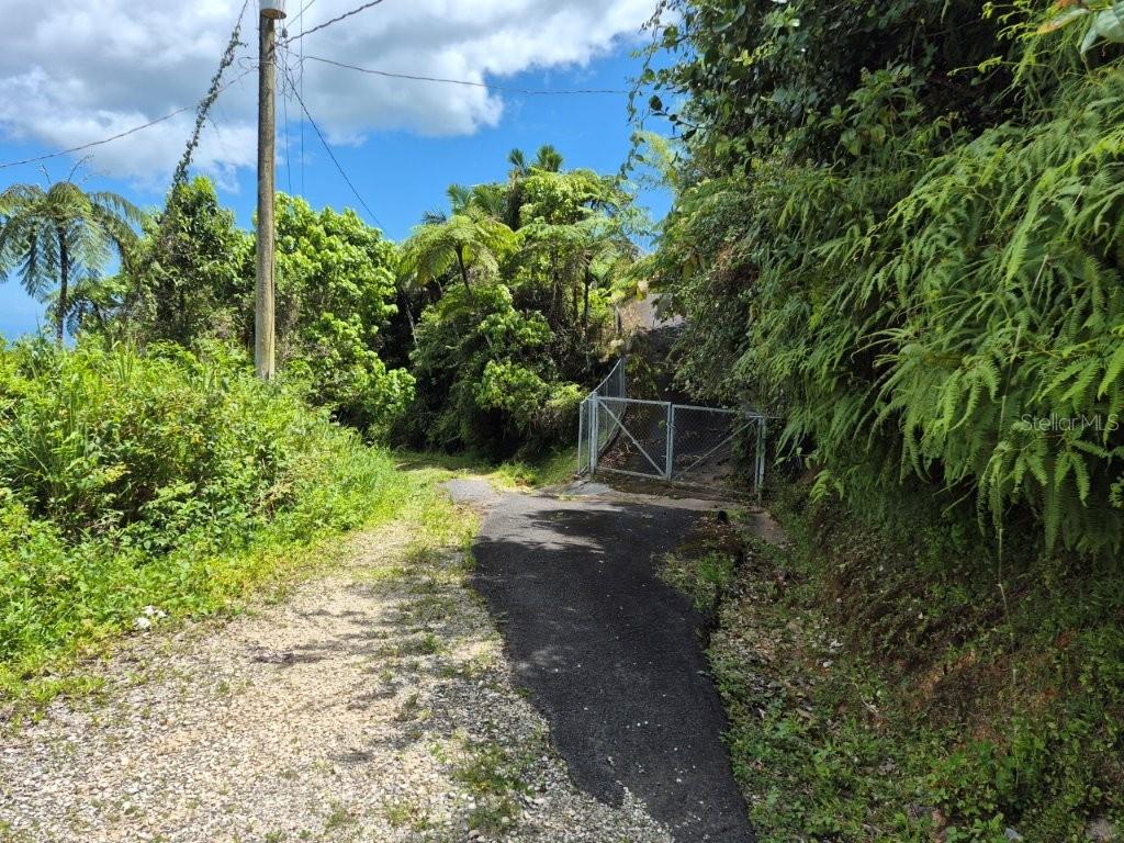 Km 24.1, Pr 143, Juana Diaz - 3