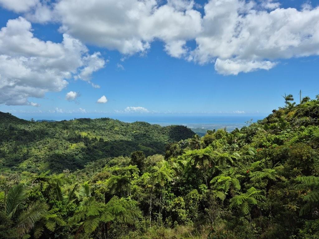 Km 24.1, Pr 143, Juana Diaz - 4