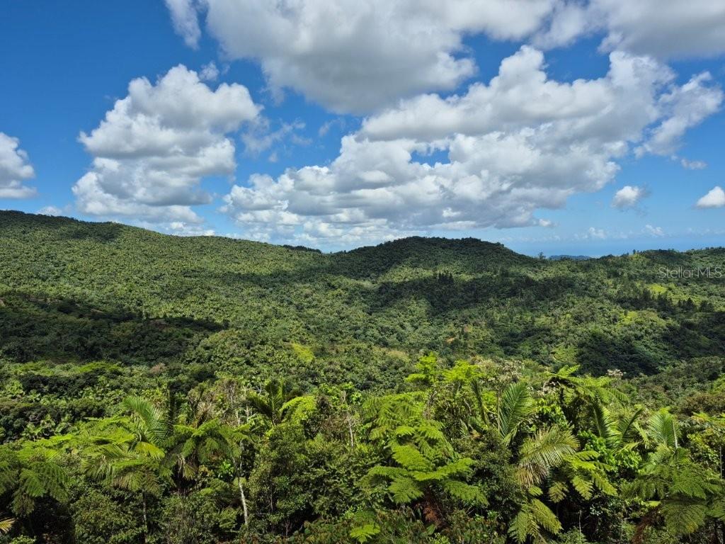 Km 24.1, Pr 143, Juana Diaz - 5
