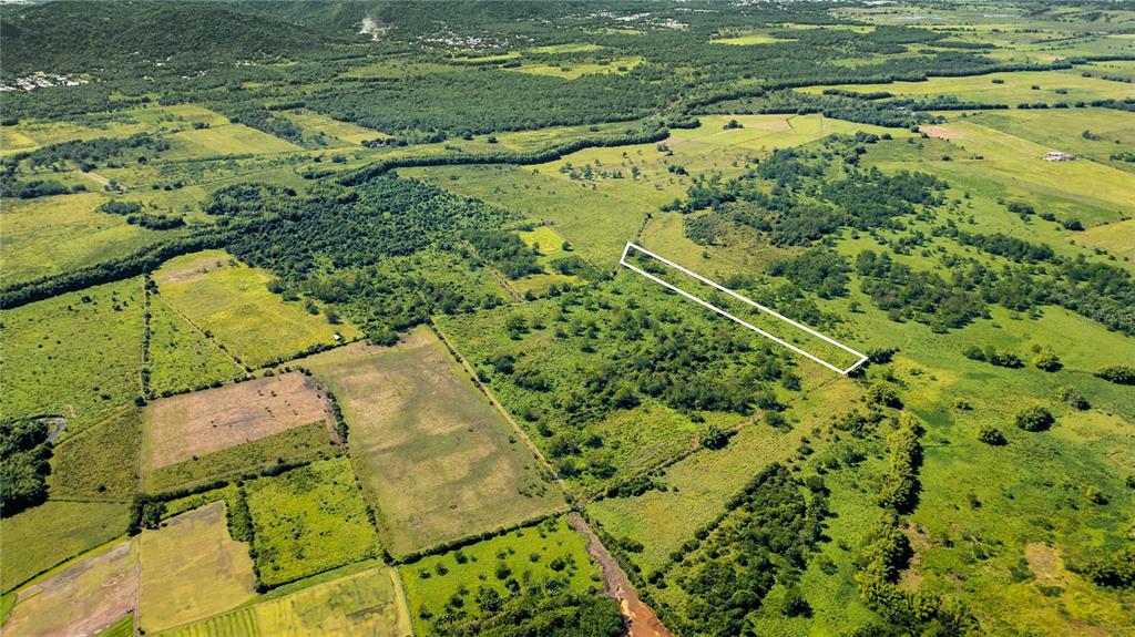 726, 2 Km 162, Benavente, Hormigueros - 2