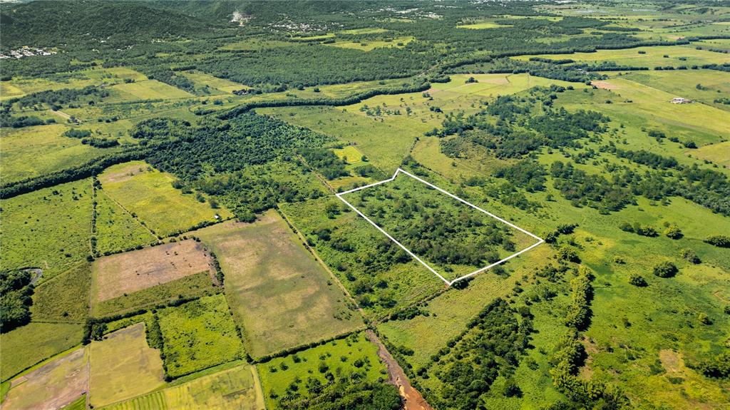 725, 2 Km 162, Benavente, Hormigueros - 2