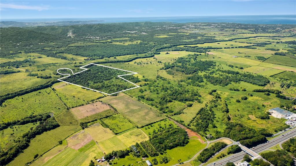 255, 2 Km 162, Benavente, Hormigueros - 2