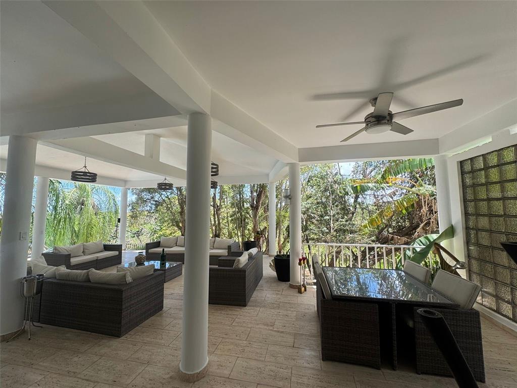 3, Carlota, Guayama - 9