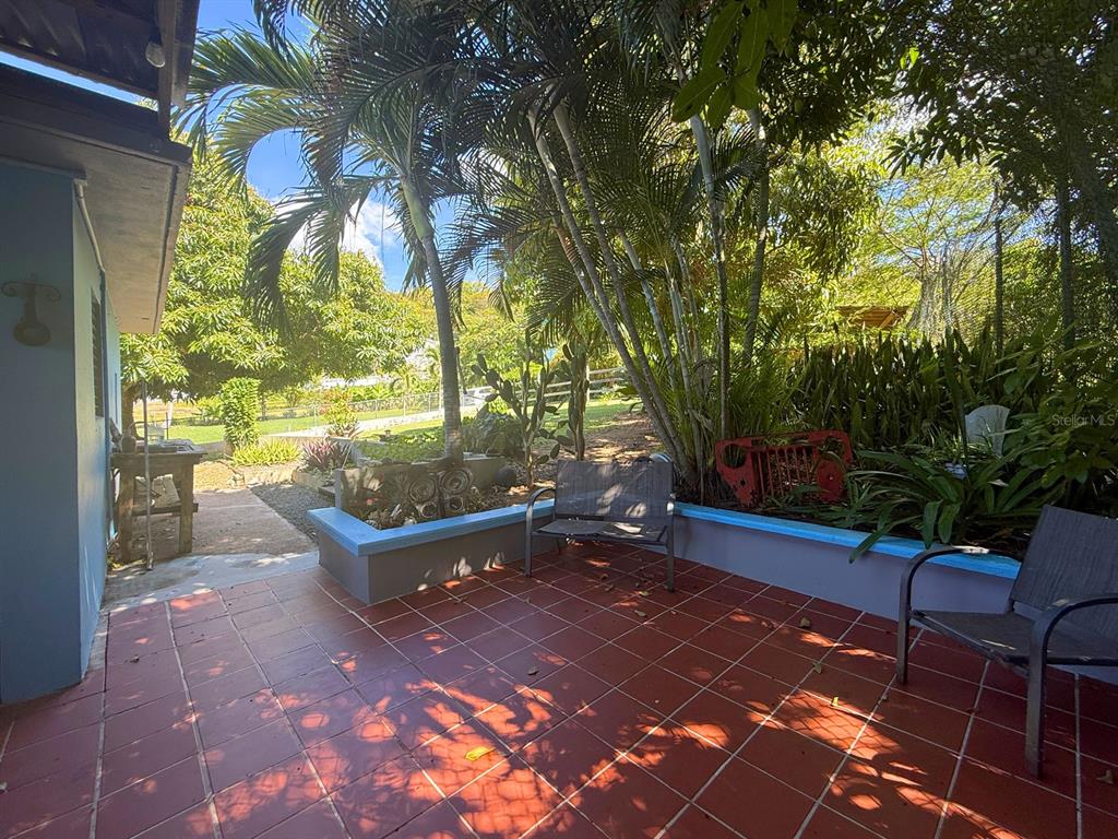 120, Calle 16, Vieques - 17