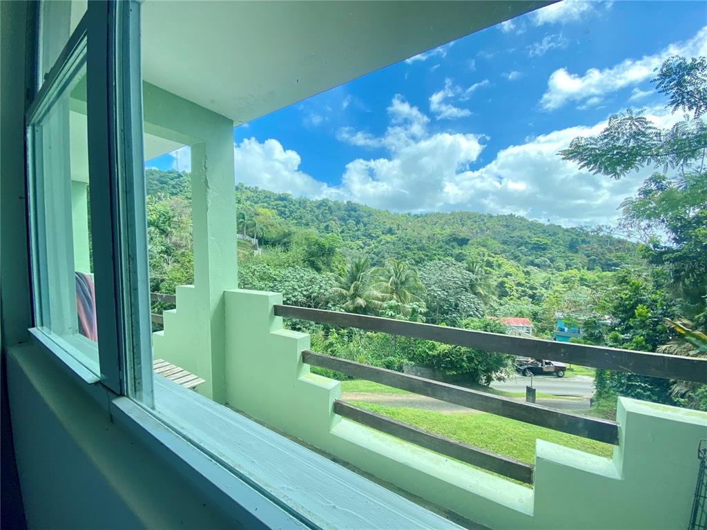 4.8, Carr. 784 Km, Caguas - 10