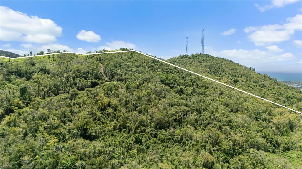 Pr-748, Caimital, Guayama - 2