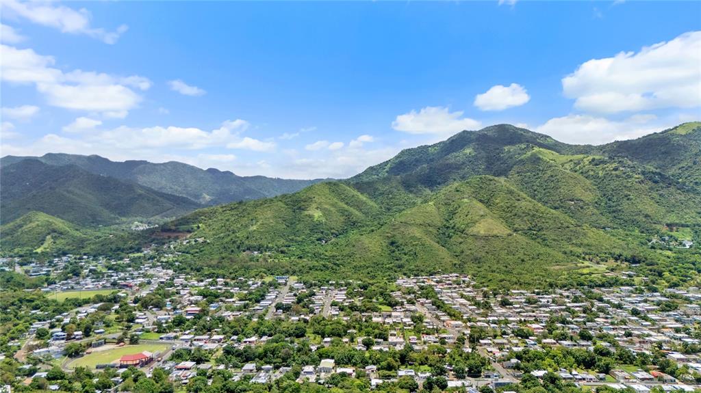 Pr-748, Caimital, Guayama - 6