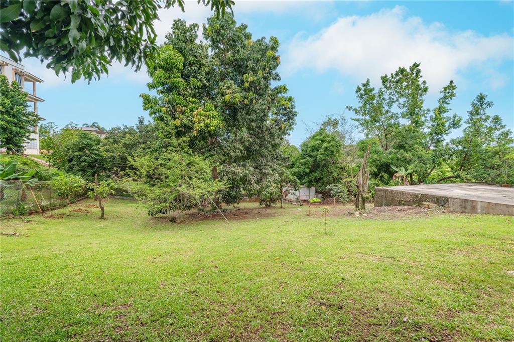 Sr 100 K2h7 Int Guanajibo, Plan Bonito St, Cabo Rojo - 21