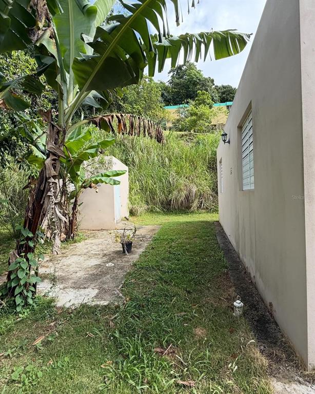 Bo Cerro Gordo, Bo Cerro Gordo, Bayamon - 11