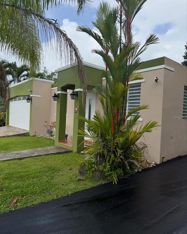 Bo Cerro Gordo, Bo Cerro Gordo, Bayamon - 12