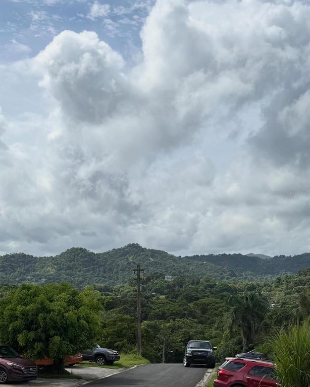 Bo Cerro Gordo, Bo Cerro Gordo, Bayamon - 5