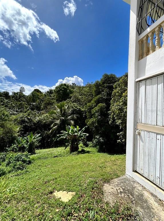 14, Sr 873, Piedras Blancas, Guaynabo - 11