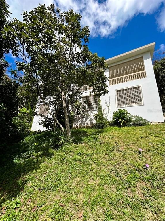 14, Sr 873, Piedras Blancas, Guaynabo - 2