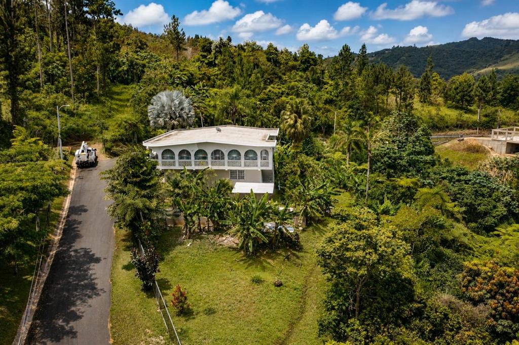 Carr 156, Km 1.0 Bo Sabana Sector Pueblito, Orocovis - 7