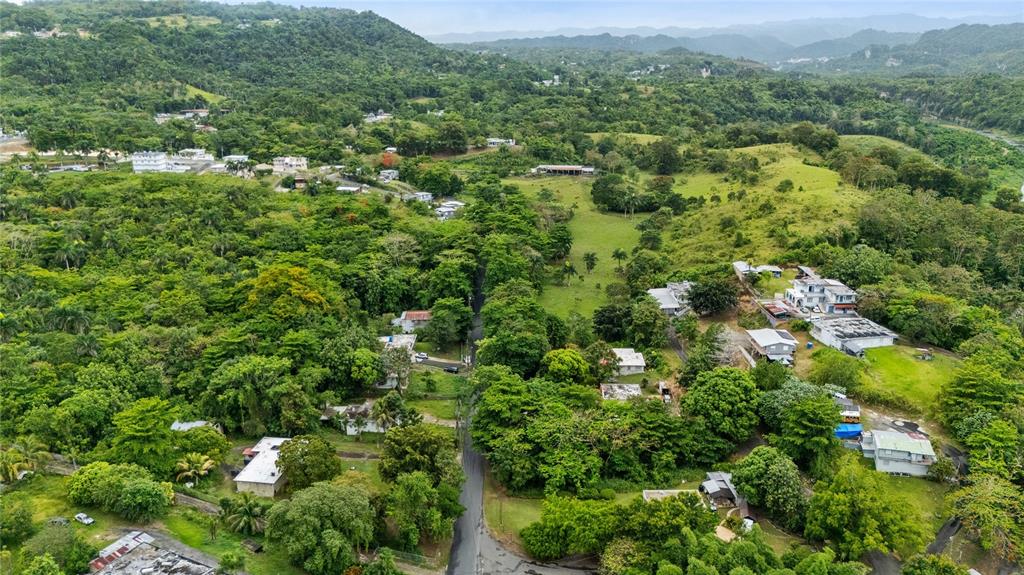 6685, Estatal, Manati - 2