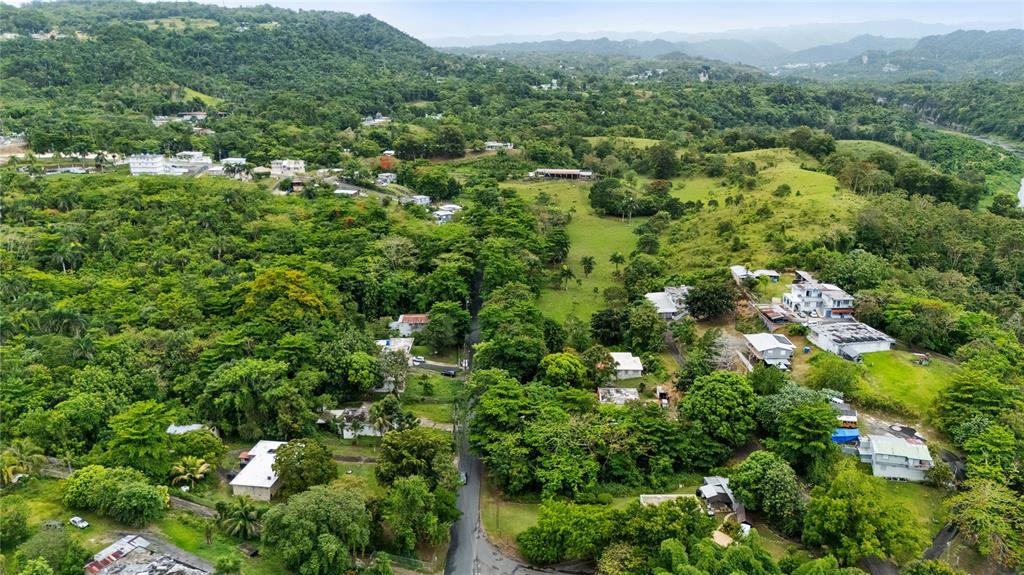 6685, Estatal, Manati - 4