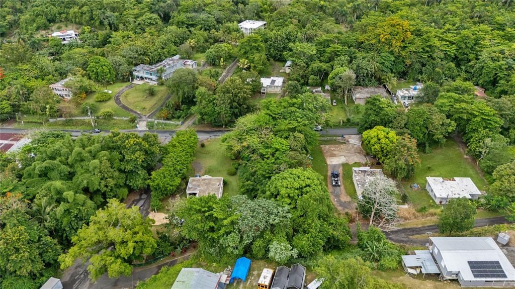 6685, Estatal, Manati - 5