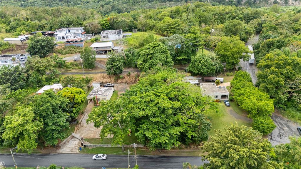 6685, Estatal, Manati - 6
