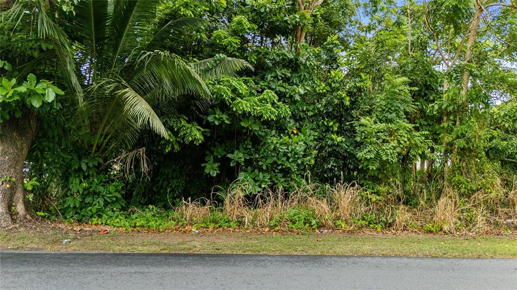 6685, Estatal, Manati - 7
