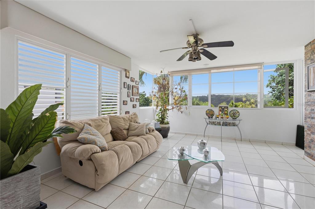 Lot 76, 149, Yuisa St.  Lomas, Manati - 9