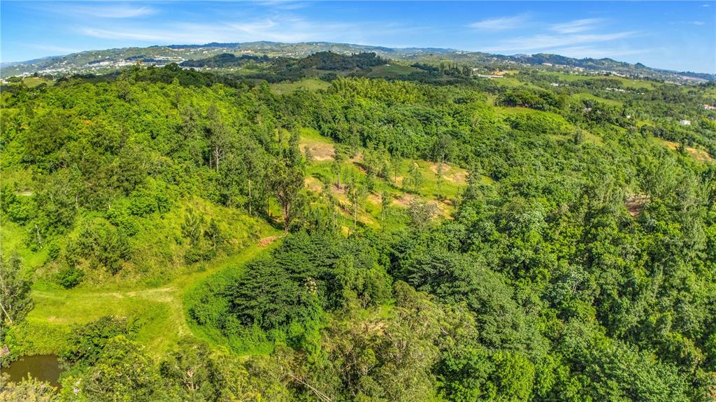 63, Sector Monticello, Cidra - 20