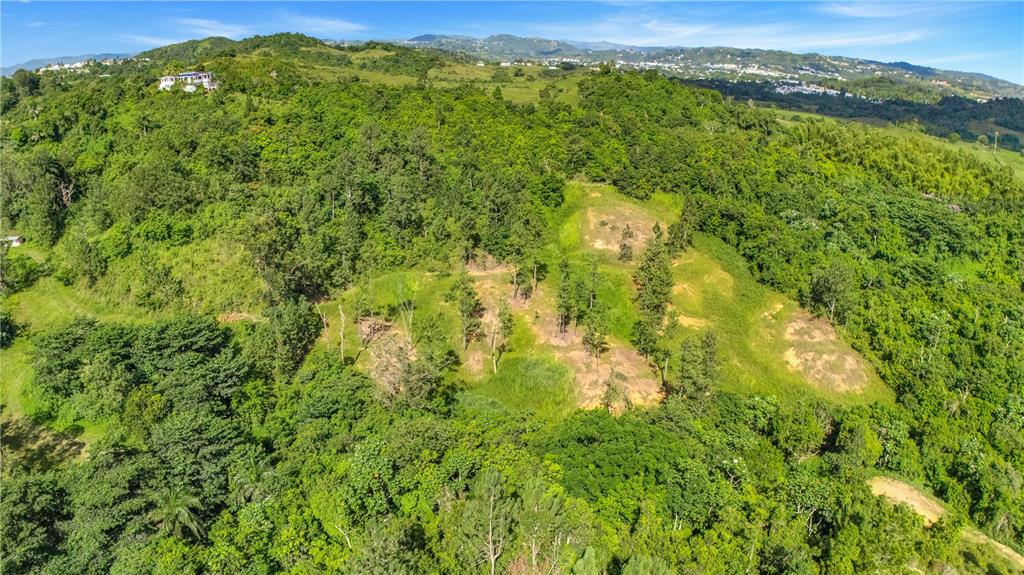63, Sector Monticello, Cidra - 8