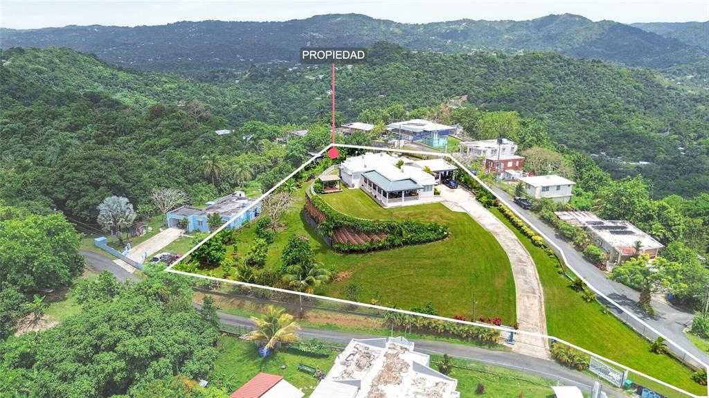 Pr-839, Lot 9, Km 6.7 Altos De Camarones, Guaynabo - 31