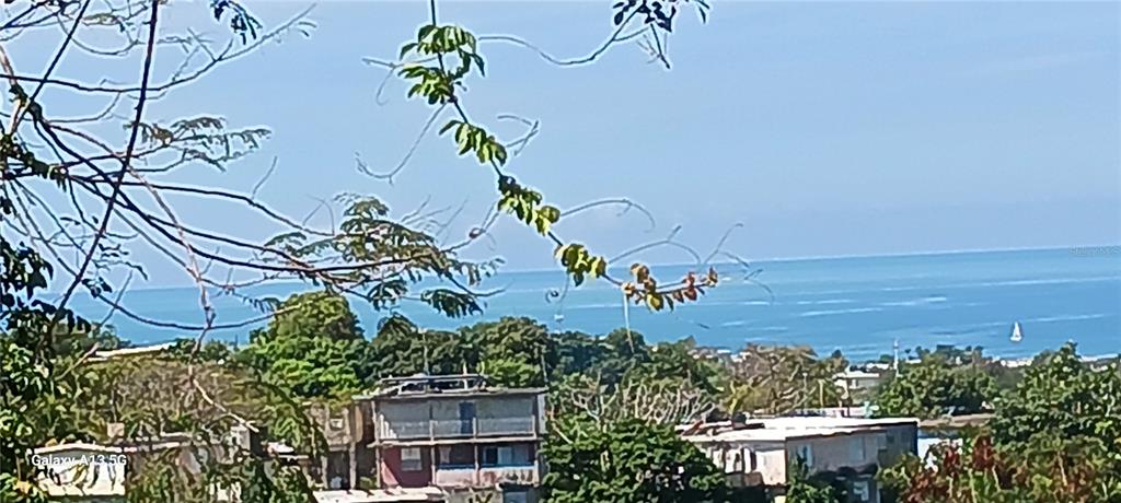 Carr 414 Km 1.3 Int, Rincon - 1