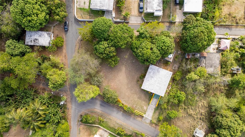 14, Gobeo, Vieques - 19