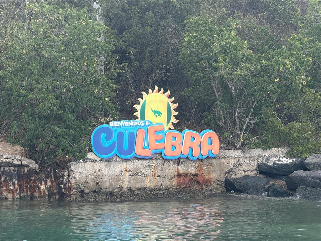 Pr 250 Km 2.5, Bo Flamenco Y San Isidro, Culebra - 11