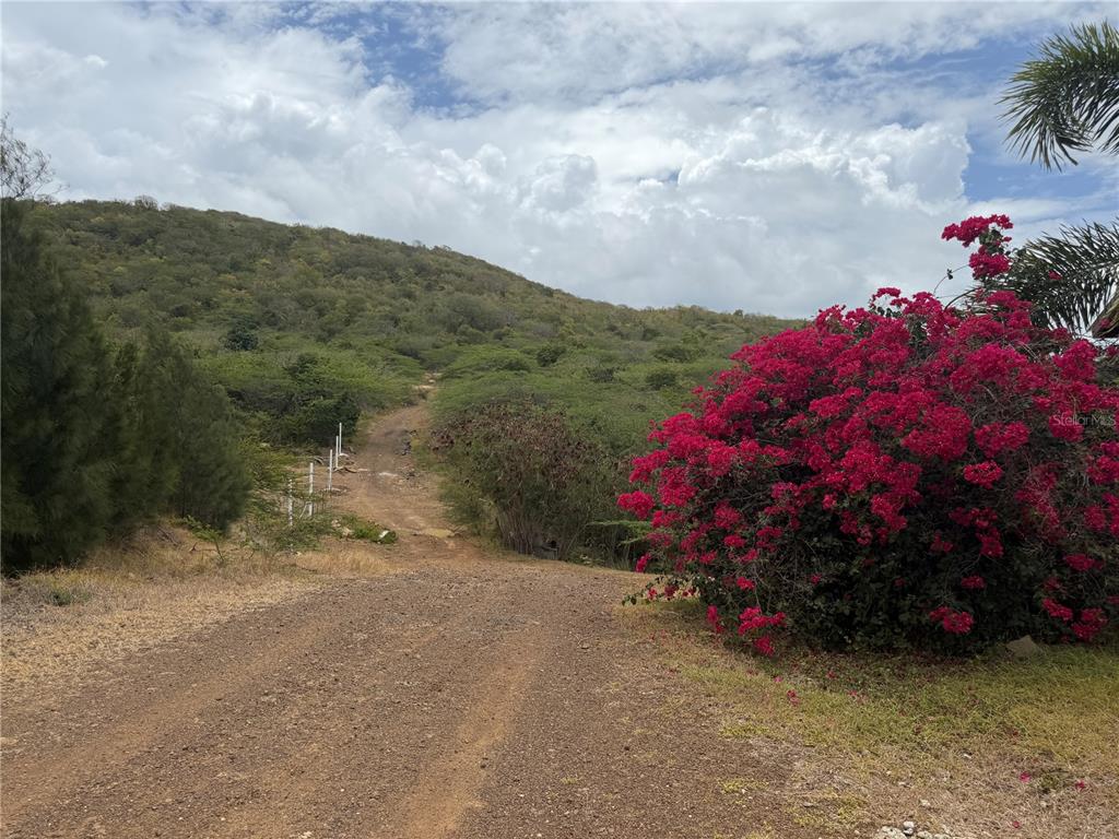 Pr 250 Km 2.5, Bo Flamenco Y San Isidro, Culebra - 7