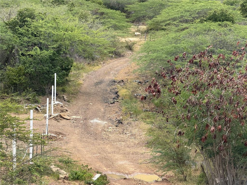 Pr 250 Km 2.5, Bo Flamenco Y San Isidro, Culebra - 8
