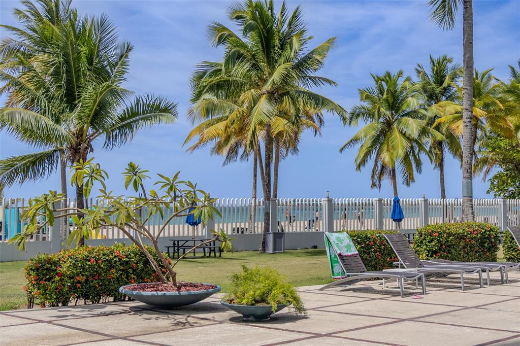Ph 807b, Playa Dorada, Carolina - 14